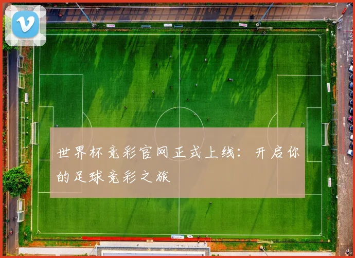 世界杯竞彩官网正式上线：开启你的足球竞彩之旅