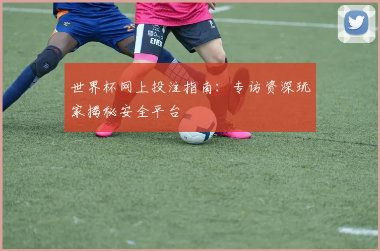 世界杯网上投注指南:专访资深玩家揭秘安全平台