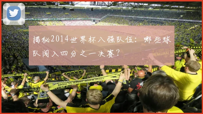 揭秘2014世界杯八强队伍：哪些球队闯入四分之一决赛？
