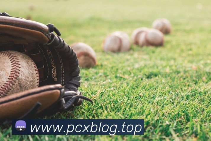 金年汇网页版登录入口发展历程